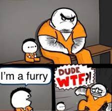 This is why I hate being a furry sometimes (yes I posted this twice but  that's because the previous one was too small) : rmemes