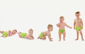 Physical Development In Early Childhood Child Development Physical Development Child Development Early Childhood