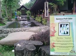 Kampung flory, kuliner jogja, wisata kuliner jogja. Kampung Flory Sleman Desa Wisata Yang Lagi Ngehits Di Jogja Www Infojogja24 Com Sewa Mobil Jogja Rental Mobil Jogja