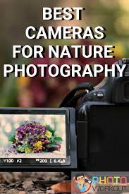 We Divided The Best Cameras For Nature Photography Depending On The Type Of Photography Wildlife Photography Landsc Best Camera Nature Photography Top Camera