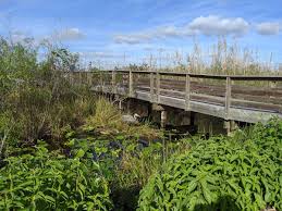 We liked that a ranger was accessible at the centre for any questions you might have about visiting the national park at the ernest f. Everglades National Park Reopening In Phases May 4 Florida Keys Weekly Newspapers