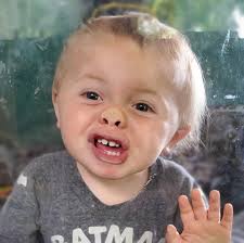 Where can I find a replacement cog for a 76 Scorpion snowmobile?