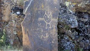 Hours may change under current circumstances Visit Beautiful Display Of Wildflowers Petroglyphs At Columbia Hills