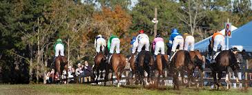 Furthermore, if a horse is found to be lame, suffers a bleeding attack, is injured during the running of a race, falls, is brought down, runs off, fails to finish or loses its rider, no reduction in rating will occur. National Steeplechase Association Fall Schedule Released Everything Horse