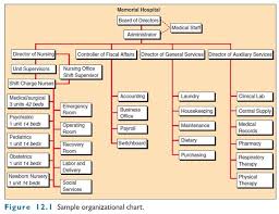 Organizational Structure Of A Hospital Complexity In