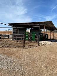 Cow palace is almost done. Ready for it to dry up a little.