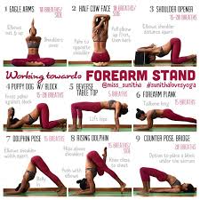 Peak Pose Forearm Stand Forearm Stand Yoga Help Yoga Inversions