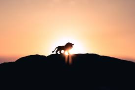 David niven wants another chance at love after he is misplaced on his way to heaven.everyone at orphaned entertainment is on cloud 9 for this film! The 81 All Time Best Lion Quotes For A Roaring Life By Kidadl