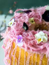 Blood Orange Chiffon Cake Aka The Muppet Belly Rumbles