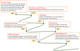 Cartoon Illustration Of The Effects Of Ethanol On The L A , L O , And L...  | Download Scientific Diagram