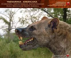 Pin By Tyrill Berry On Prehistoric North America Prehistoric Wildlife Prehistoric Animals Extinct Animals