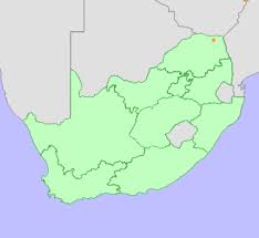 Image result for Brackenridgea zanguebarica