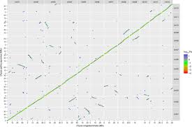 Image result for Oryza longistaminata