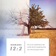 Romans 12 2 Is The Theme Verse For 50 Days Of Transformation Join Us As We Study The Seven Key Areas Of Your Life Celebrate Recovery Transform Your Life Life
