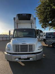 Image result for Tree Green 2018 Fleet