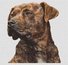 Know there aren't a lot of bathrooms on here, but i just hung another plant under my skylight and i'm loving. Brindle Pit Bull Cross Stitch Pattern