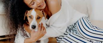 Helping dog anxiety | The Humane Society of the United States
