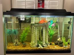 30 Gallon Cichlid Aquarium Setup | Cichlid Fish Forum