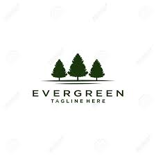 Discounting the different techniques luthiers use in bracing the top, or the thickness of the soundboard, it is generally agreed that a spruce top guitar will sound brighter than a cedar top guitar. Evergreen Pines Spruce Cedar Trees Logo Design Royalty Free Cliparts Vectors And Stock Illustration Image 140815062