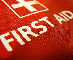 In order to give an effective first aid for any injury or incident we must make sure that first aid box contents are always complete. Family First Aid Box Checklist Family Life Emmas Diary