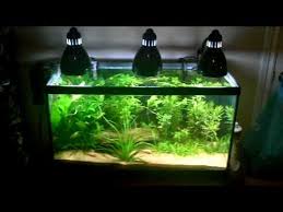 Clip On Lamp Aquarium Lighting Youtube Aquarium Lighting Aquarium Led Shop Lights