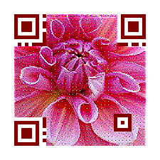 Flower Picture Qr Code By Meftc Com Can You Scan It Flowers Garden Design Qrcode Parks Beauty Flower Pictures Flower Images Code Free