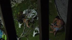 Insula iubirii sezonul 3 episodul 15. Insula Iubirii Sezonul 3 Episodul 16 Online 8 August 2017
