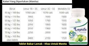 Ini adalah salah satu jenis pertanyaan yang paling wajar. Sally S Thoughts Carta Keperluan Kalori Bagi Wanita Dan Lelaki