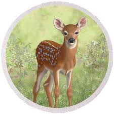 Cute Whitetail Deer Fawn Beach Towel by Crista Forest