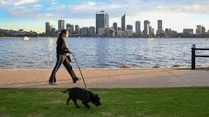 May 06, 2021 · from 12:01am on saturday, perth and peel residents will no longer have to wear masks in public places, with a few exceptions, the wa premier has announced. Perth Lockdown Begins As Covid Cases Force City And Peel Region Into Three Days Of Hibernation Abc News