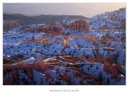 Lemme know what you think! Both the images and the content/design, if you  have any feedback or ideas. 🙂