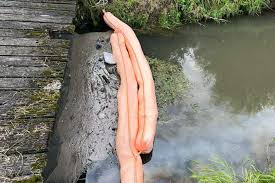 Vanessalyn b cayco sex the woman was very sweet on the