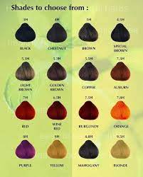 Shadecard Henna Hair Color Henna Hair Dyes Henna Hair