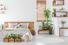 Hoy, en el nuevo tutorial de espacio consentido te mostraremo. Decoracion De Interiores Con Plantas Ideas Mercado Libre Argentina
