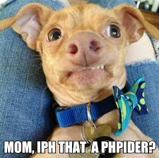 Tuna Melts My Heart The Underdog With The Overbite Tunameltsmyheart Funny Animals Tuna Dog Cute Funny Animals