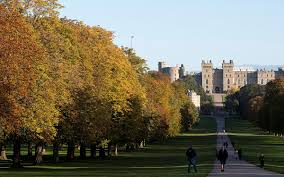 Méltatlanul kevesen ismerik kis grófo édesapját, kozák lászló grófot, akit a roma közösség az autentikus cigányzene királyának tart. Meghalt Kis Grofo Edesapja Kozak Laszlo Grofo Startlap