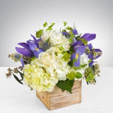 We did not find results for: Flowers Delivery Staten Island Flowers By Bernard