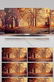 Wallpaper dumps are allowed as long as they are minimalist. Outono Folhas De Bordo Arvores Caindo Fundo Do Parque Composto Mp4 Baixar Gratis Pikbest