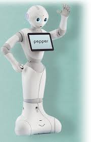 Les français sont exhortés à consommer plus de fruits et légumes, et pour cela rien de tel que préparer un bon petit plat maison. Je Suis Pepper Le Petit Robot L Ami De L Homme
