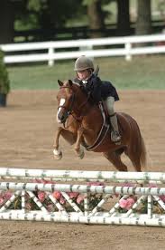 I Ponies Love The Look On This Kids Face Cute Horses Pretty Horses Cute Ponies