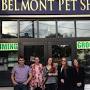 usa massachusetts belmont belmont-pet-shop from bostonvoyager.com