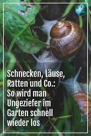 Ungeziefer Im Garten So Wird Man Es Schnell Los Ungeziefer Ameisen Im Garten Garten