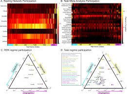 Image result for Higher Integrative Function
