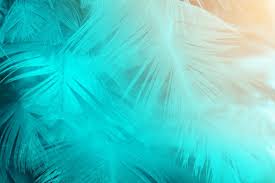 A wallpaper or background (also known as a desktop wallpaper, desktop background, desktop picture or desktop image on computers) is a digital image (photo, drawing etc.) used as a decorative background of a graphical user interface on the screen of a computer, mobile communications device or other electronic device. Teal Orange Images Free Vectors Stock Photos Psd