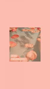 Pink Roses Wallpaper In 2020 Peach Wallpaper Peach Aesthetic Aesthetic Iphone Wallpaper Are you searching for vintage peach png images or vector? pinterest