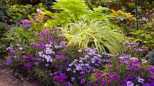 Peonies (paeonia hybrids) start flowering in spring but continue through early summer. Colorful Shade Garden Combos Garden Gate