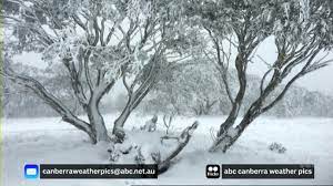 93,108 likes · 5,926 talking about this · 2 were here. Abc News Presenters And Reporters 1779 By Johnsontv Abc And Sbs News Media Spy