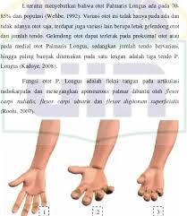 Perumpamaan yang digambarkan dalam ungkapan peribahasa ini bermaksud sangat dekat seperti isi dan kuku. Bagai Isi Dengan Kuku Meaning In Chinese