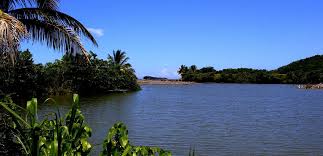 The name of the city (and in some cases, organization) designated by that zip code or postal. Barceloneta Puerto Rico Industrial City Boricuaonline Com