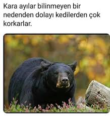 Yasemin Adli Kullanicinin Bilgi Panosundaki Pin Ilginc Gercekler Bilgi Alintilari Eglenceli Gercekler